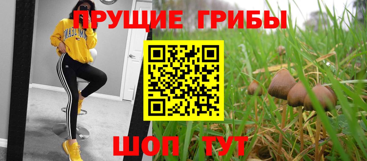 Галлюциногенные грибы GOLDEN TEACHER Анапа