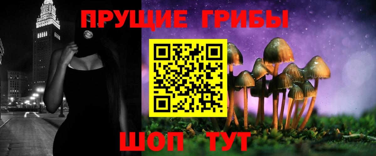 Анапа  Псилоцибиновые грибы Psilocybe  Вход с VPN 